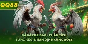 Đá Gà Cựa Dao - Phân Tích Từng Kèo, Nhận Định Cùng QQ88