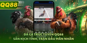 Đá Gà Trực Tuyến QQ88 - Sân Kịch Tính, Trận Đấu Mãn Nhãn