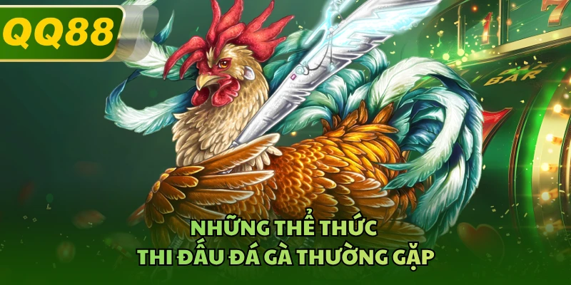 Những thể thức thi đấu đá gà thường gặp